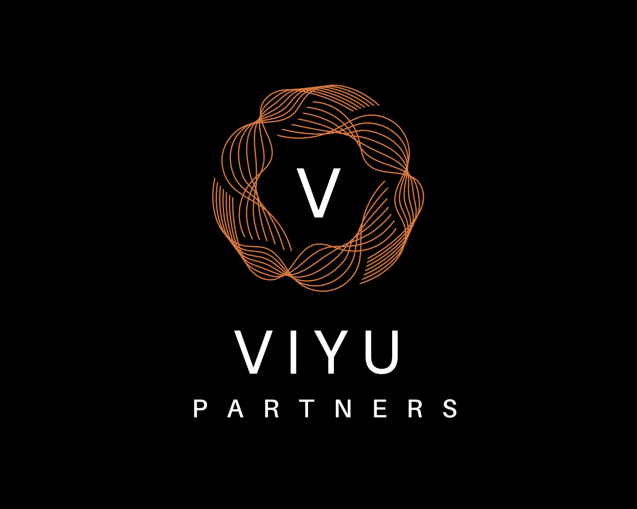 Viyu Partners